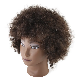  Factory Price Mannequin Head with Kinky Hair for Training Head