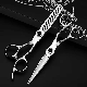  Professional Hairdressing Scissors Stylist Haircut Set Scissors