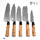  Damascus Knife /Janpanese Knife/Kitchen Knife Set with Olivewood Handle (SE-Z013)