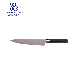  Wholesale Mirror Polished Plastic Handle Grey Colored Stainless Steel 8inch Chef Knife for Kitchen Kwdj020ck