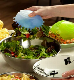 Shell Salad Bella Clip Can Be Used in The Kitchen