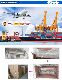  Sanitary Stainless Steel Welded/Clamped/Threaded Y-Type Filter