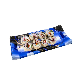 Disposable Recycing Food Packaaging Plastic Boat Shape Sushi Box