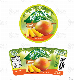 China Custom PVC Vinyl Paper Self Adhesive Laser Label Logo Sticker Printing