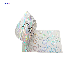 Laser Holographic Die Cut Labels Warranty Void If Removed Hologram Sticker