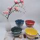  Promotion New Bone China Printing Bowls