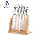 6PCS High-Quality Stainless-Steel Kitchen Cutting Knife Set with Wooden Stand