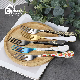 New Design Dinner Fork with Different Plastic Handle China Wholesaler