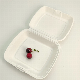 9′′ Sugarcane Bagasse Clamshell Box Food Container Dispostable Biodegradable Tableware Hot Sale