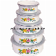  High Quality 5PCS Enamel Salad Bowl with Plastic Lid