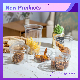  10% off New Arrival Crystal Food Packing 8/12/16/24/32oz Deli Cups Plastic Pet Cup