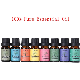  Free Sample Pure Tea Tree Aromatherapy Essential Oil Skin Whitening Massage Serum Oil for Face Body 10ml