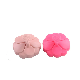 Wet and Dry Hair Scalp Brush with Soft Silicone Massage Brush