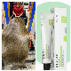  Professional Hair Color Natural Hair Color Cream 100ml Organic Hair Dye Brands