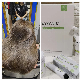  Natural Yoorganic Ingredients Salon Professional Permanent Hair Color Professional Italian Hair Color Brands