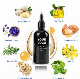  OEM ODM 100% Natural Red Onion Oil for Dry Damaged Hair Growth Wholesale Onion Oi