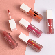  Private Label Custom Logo Long Lasting Liquid Blush in Stock