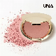 Hot Sale Custom Logo 6 Colors Shimmer Matte Makeup Powder Blush manufacturer