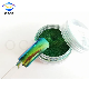  Duochrome Pigment Optical Variables Chameleon Color Changing Powder Pigment