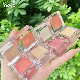 The High Luster Blush Double -Layer Combination 4 Group Inventory
