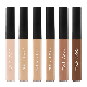  6 Colors Lasting Hydrating Concealer Without Logo Concealer Wholesale Makeup in Stock