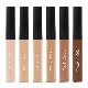  6 Colors Lasting Hydrating Concealer Without Logo Concealer Wholesale Makeup in Stock
