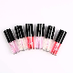  OEM/ ODM Natural Lip Gloss Private Label Lip Plumper Gloss Lip Oil
