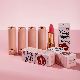  Wholesale Beauty Cosmetic Long Lasting Waterproof Velvet Matte Lipstick