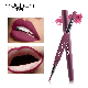 Double Head High Pigment Lip Plump Lipstick Lipliner manufacturer