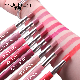 Double Head High Quality Matt Waterproof Lipstick Lipliner manufacturer