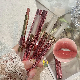 Raincoat Lipstick 2 in 1 Double Head Lipgloss Maxfine Factory