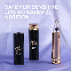 Hot Sale Factory OEM/ODM Long-Lasting Lipstick for Lips