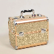  BSCI Audit Factory Cosmetic Artist Train Case