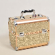  BSCI Audit Factory Cosmetic Artist Train Case