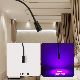 Foot Pedal UV Lamp for Lash Extension