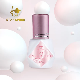  Star Speed Tear Free Odorless Free Grafting DIY Eye Lash Extent Glue