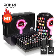  Roniki Colour Gel Set 60PCS/Kit Nail Art Salon Base and Top Coat Enamel Varnish Gel Nail Polish Set