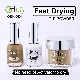  Nude Nail Fast Drying Acrylic Dipping Powder Colors Match Gel and Lacquer