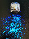  Hot Sale Nail Art Optical Variable Pigment Nail Beauty 205 Cosmetic