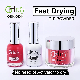 Acrylic DIP Nails Color Match 3 in 1 Fast Drying Dipping Powder