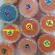 OEM Wholesale acrylic Nail Powder for Salon Use