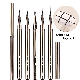  5-in-1 Professional Metal Handle Nail Art Brushes Set Line Art Brush Nail Art Drawing Liner Brush Nail Extension Tool Pen