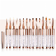 Nail Gel Polish Painting Rose Gold Nail Art Brushes