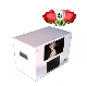  Automatic Manicure Nail Press Polish Machine 3D Digital Nail Art Printing Machine