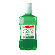  500ml Fresh Mint Zero-Alcohol Mouthwash Total Care Alcohol-Free Mouthwash