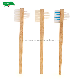  High Quality OEM Denture Brush Soft Bristles Toothbrush for Denture