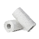  Factory Wholesale Ultra Oil Suction White Embossed 2 Ply Kitchen Paper Tissue
