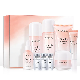  Private Label 9 PCS Camellia Skincare Set Facial Cleanser Toner Skin Care Beauty Anti Aging Soothing Moisturizing Face Skin Care Set
