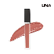 Private Label High Pigment Shimmer Glossy Lipgloss Lip Makeup Cosmetics manufacturer