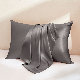  22 mm 100% Mulberry Charmeuse Satin Gray Silk Pillowcase with Hidden Zipper